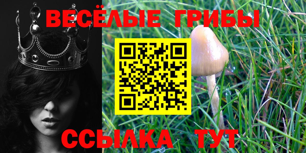 дарнет шоп  Вход с VPN  Нарткала  Псилоцибиновые грибы Cubensis  Галлюциногенные грибы Cubensis 