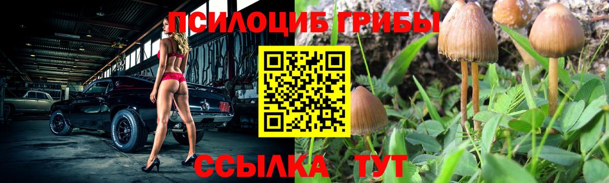Псилоцибиновые грибы мухоморы Нарткала